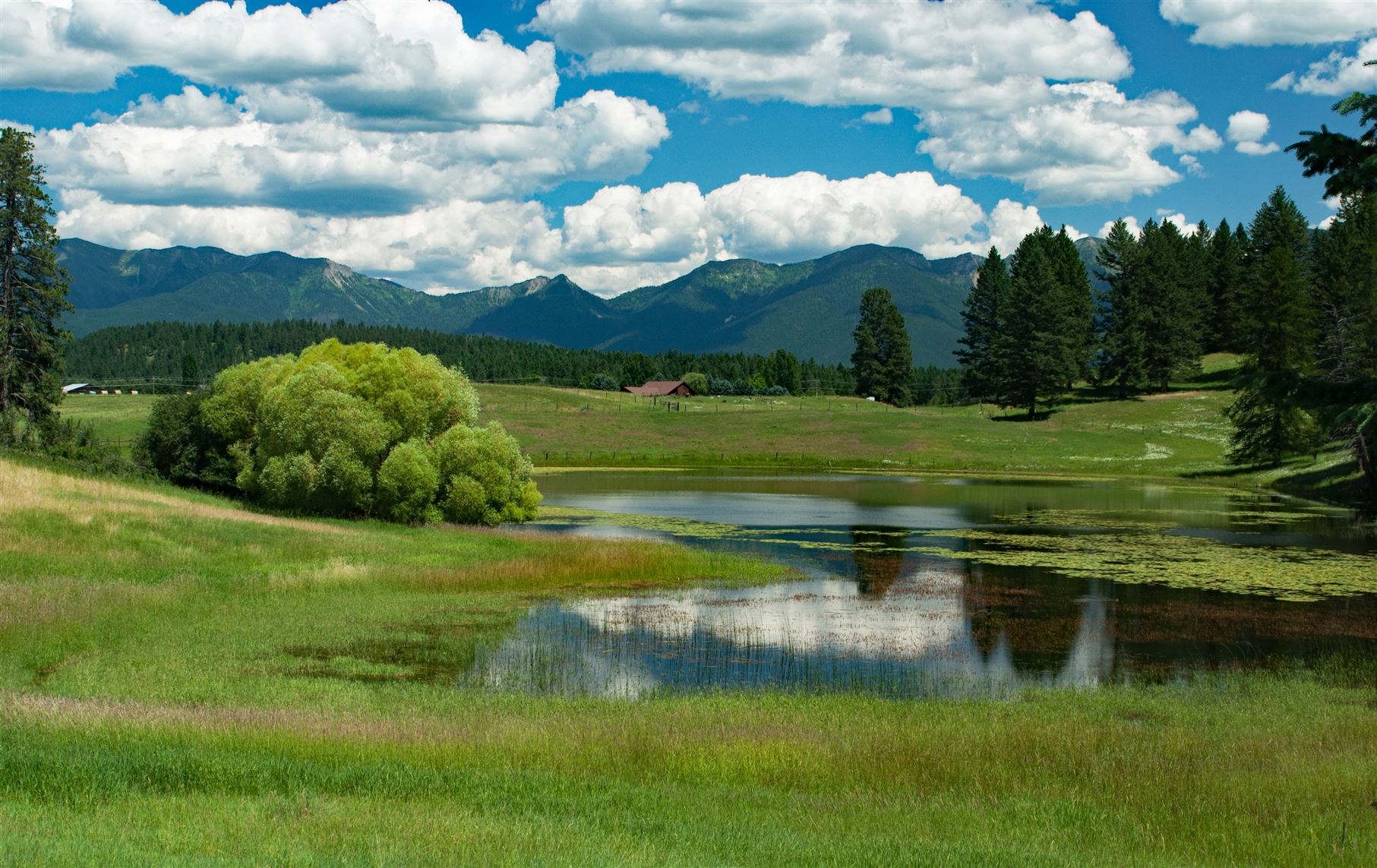 Photograph of field and pond north of Big Fork, MT