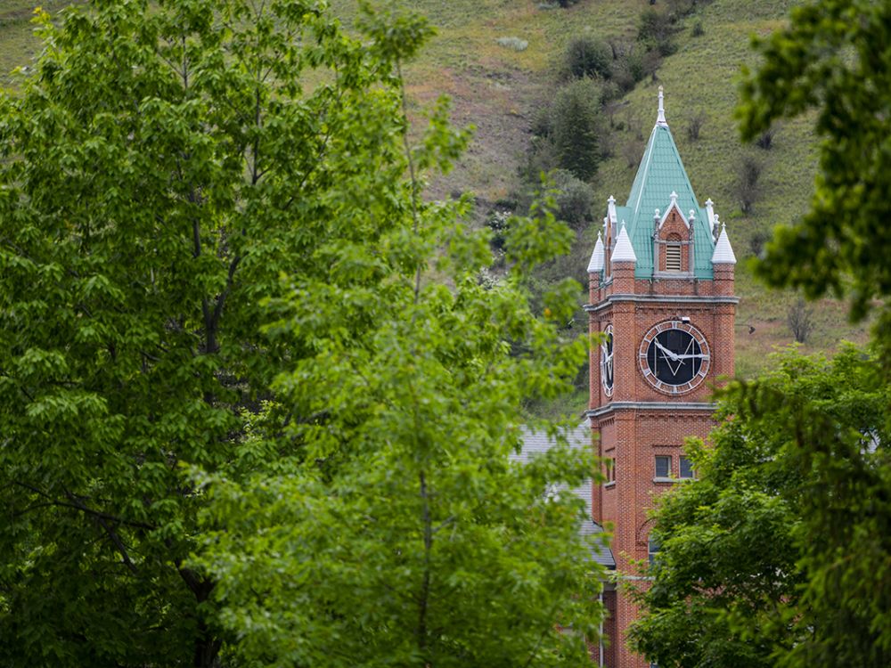Main Hall tower through leaves