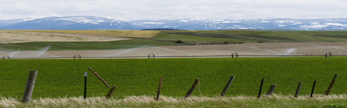 Agriculture in Montana