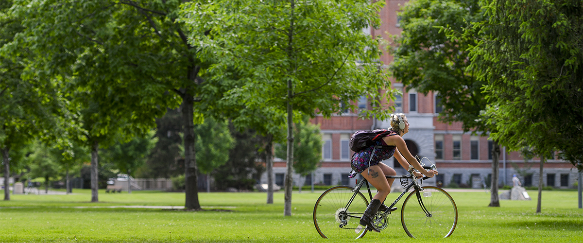 A cyclist makes their way across campus. 