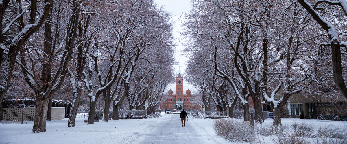 A student walks down the Ryman Mall toward the Oval. Snow fills the trees that line the mall. Main Hall stands in the distance.