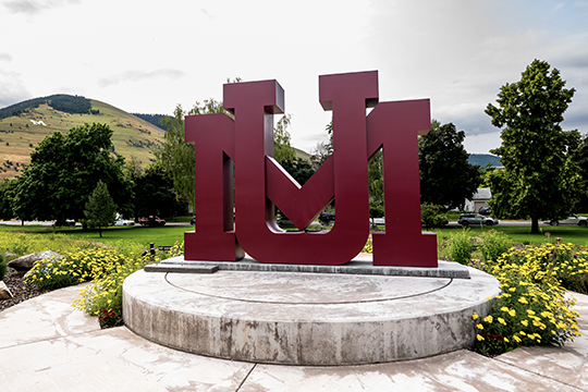 A picture of the interlocking UM 