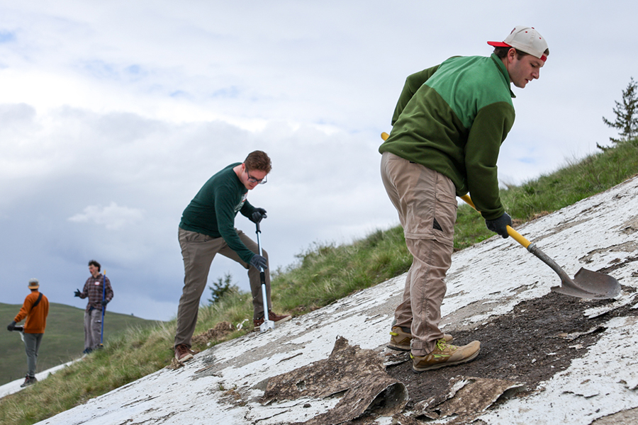 Two male students brush paint off the M sign on Mount Sentinel