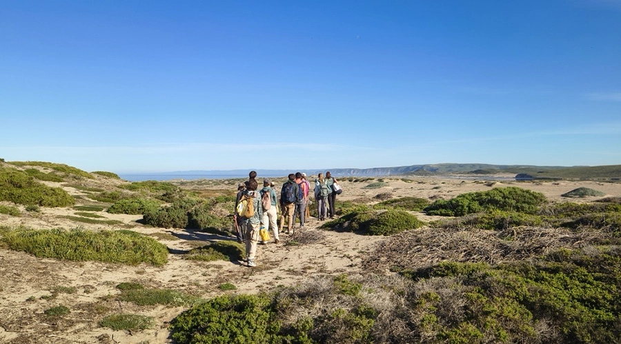 Students walk in a line on a beach with backpacks 