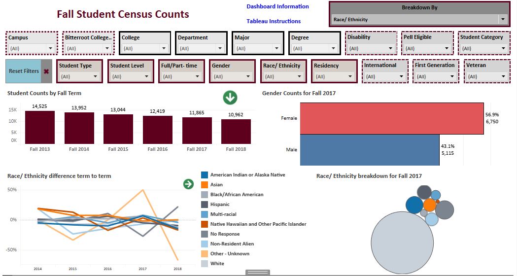 census dashboard preview