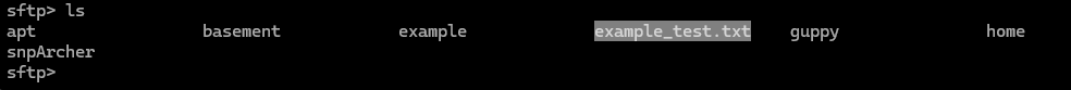 Screenshot of a command line interface displaying a directory listing with files and folders.