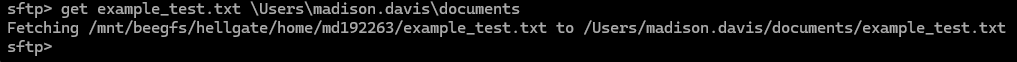 A terminal screenshot displaying a command to fetch a text file from a specified directory.