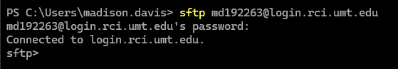 Screenshot of a terminal showing a successful SFTP login to a remote server.