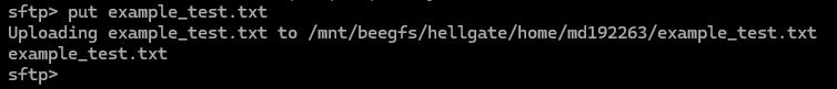 Screenshot of a command line interface showing a file upload process for 'example_test.txt'.