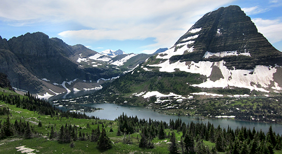 Crown Reporting Project