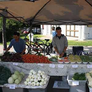 Emily Wendler Student Project