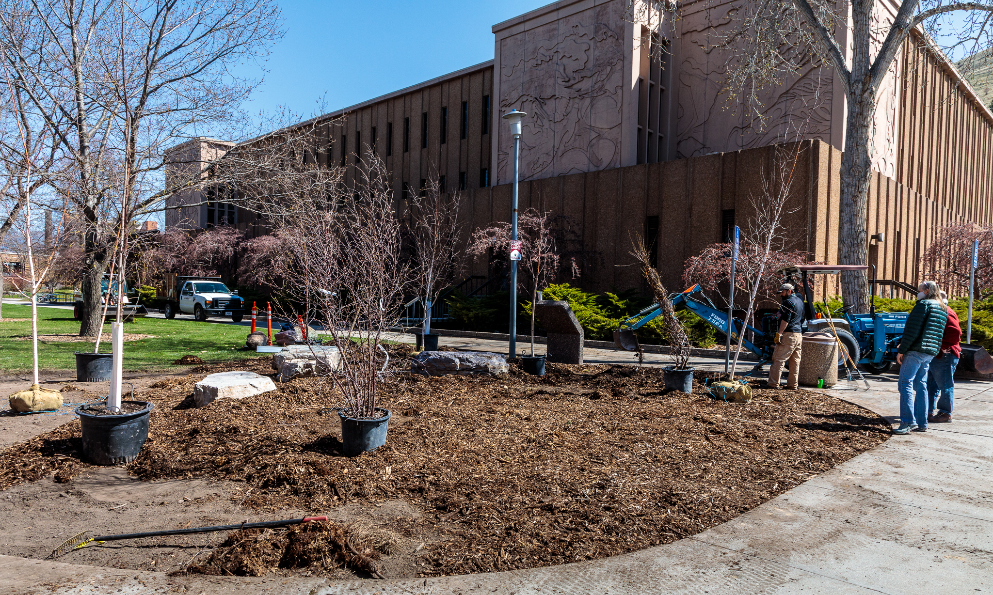 UM workers install the irrigation automation in front of the Mansfield Library