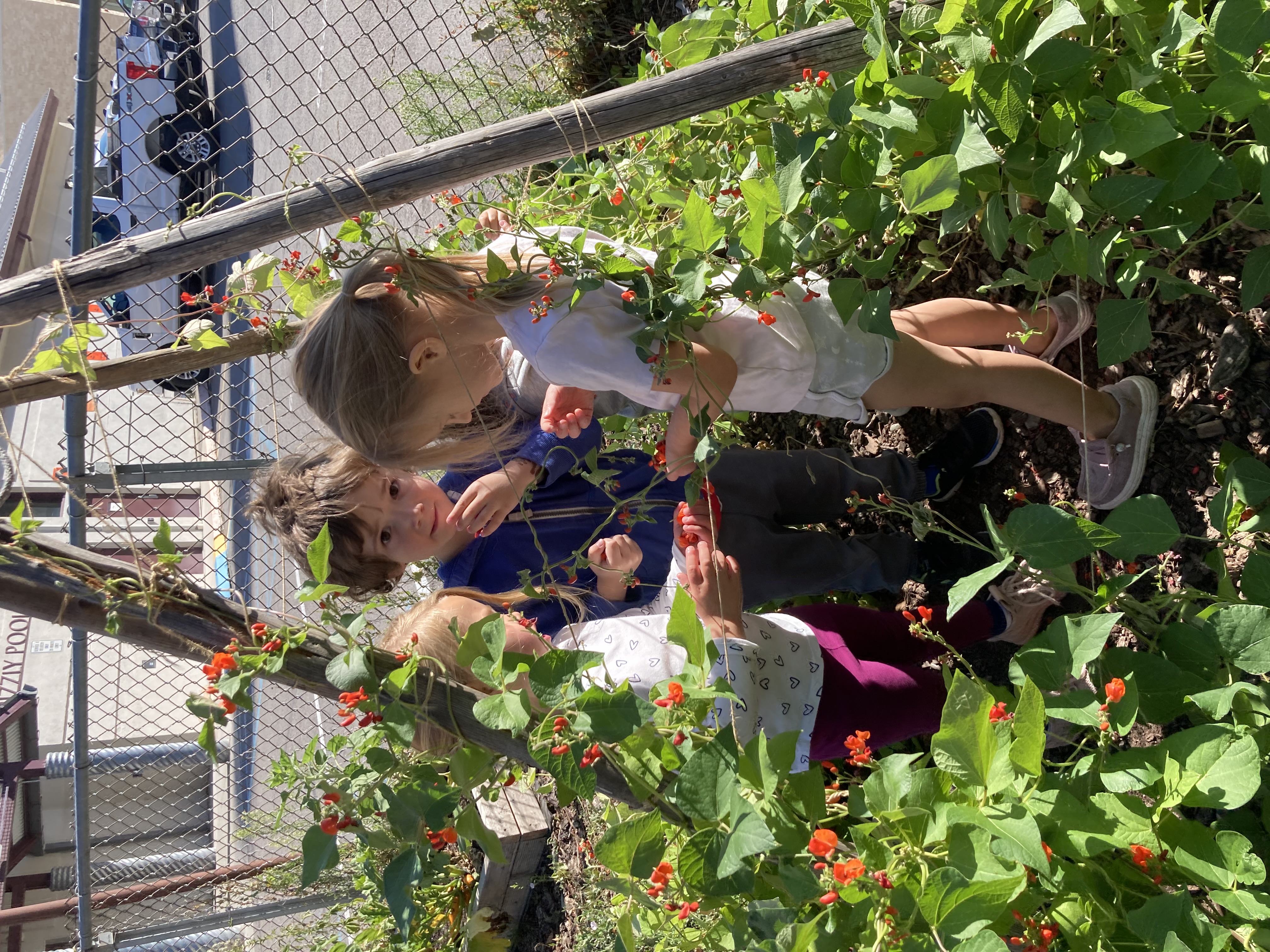 children in the ASUM preschool play in the garden