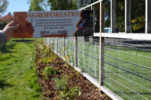 agroforestry sign is held with the garden behind it