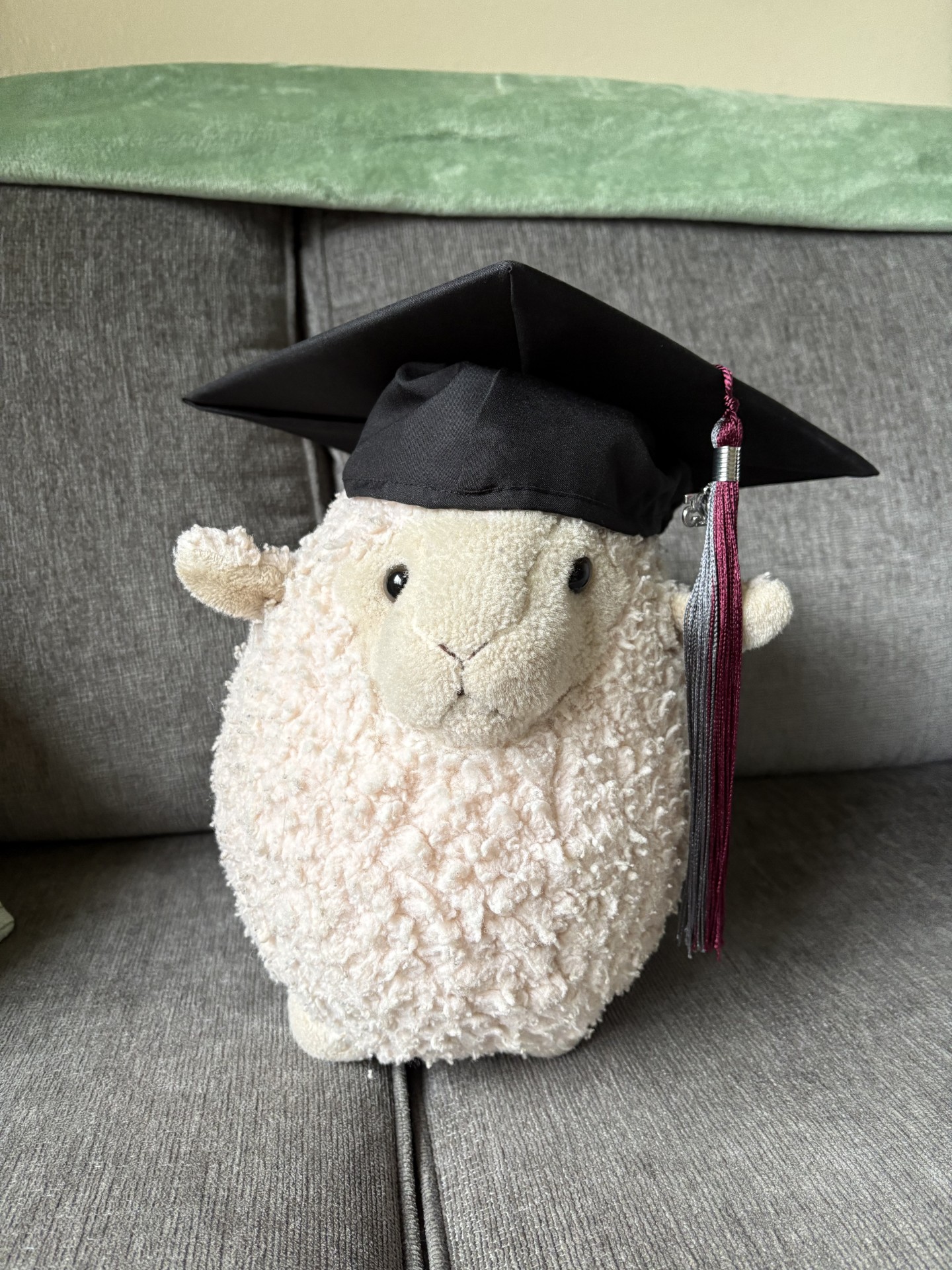 lamb plush with grad cap 