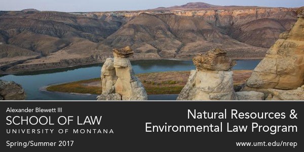 NREP Newsletter Header