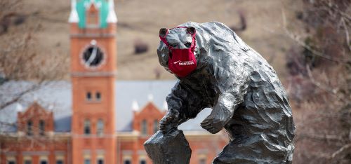  Photograph of Rudy Autio's cast bronze statue "Grizz" wearing a maroon mask with the University of Montana logo. Photograph by UM Photographer Tommy Martino.