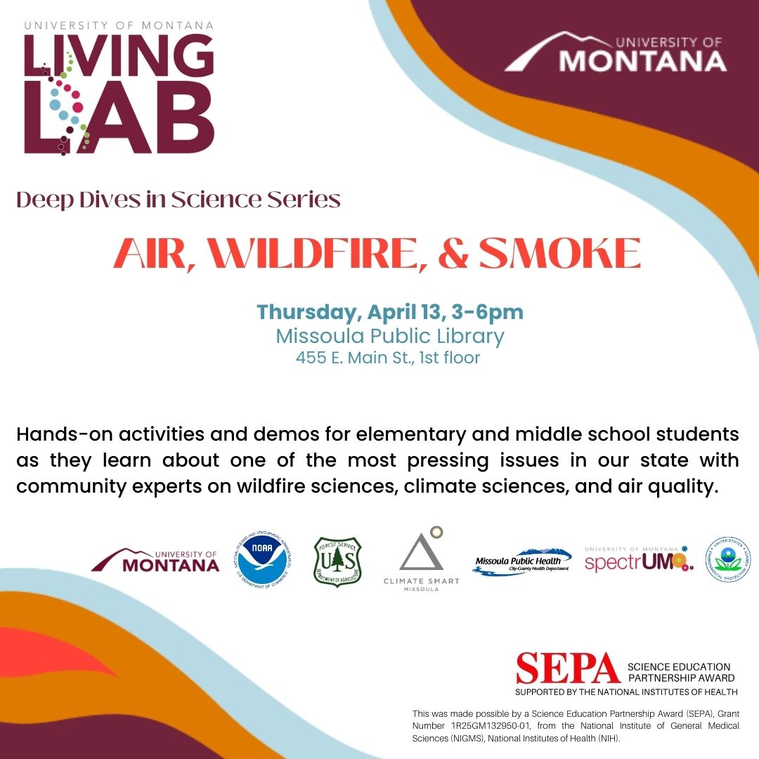 Air wildfire smoke event