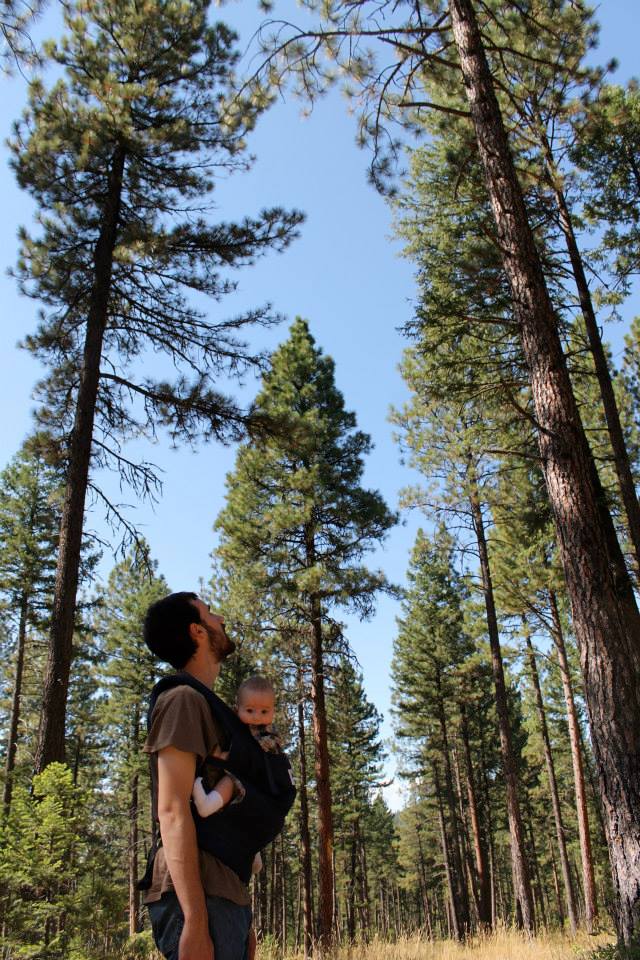 taylor wilcox holding a baby while looking up at tall trees