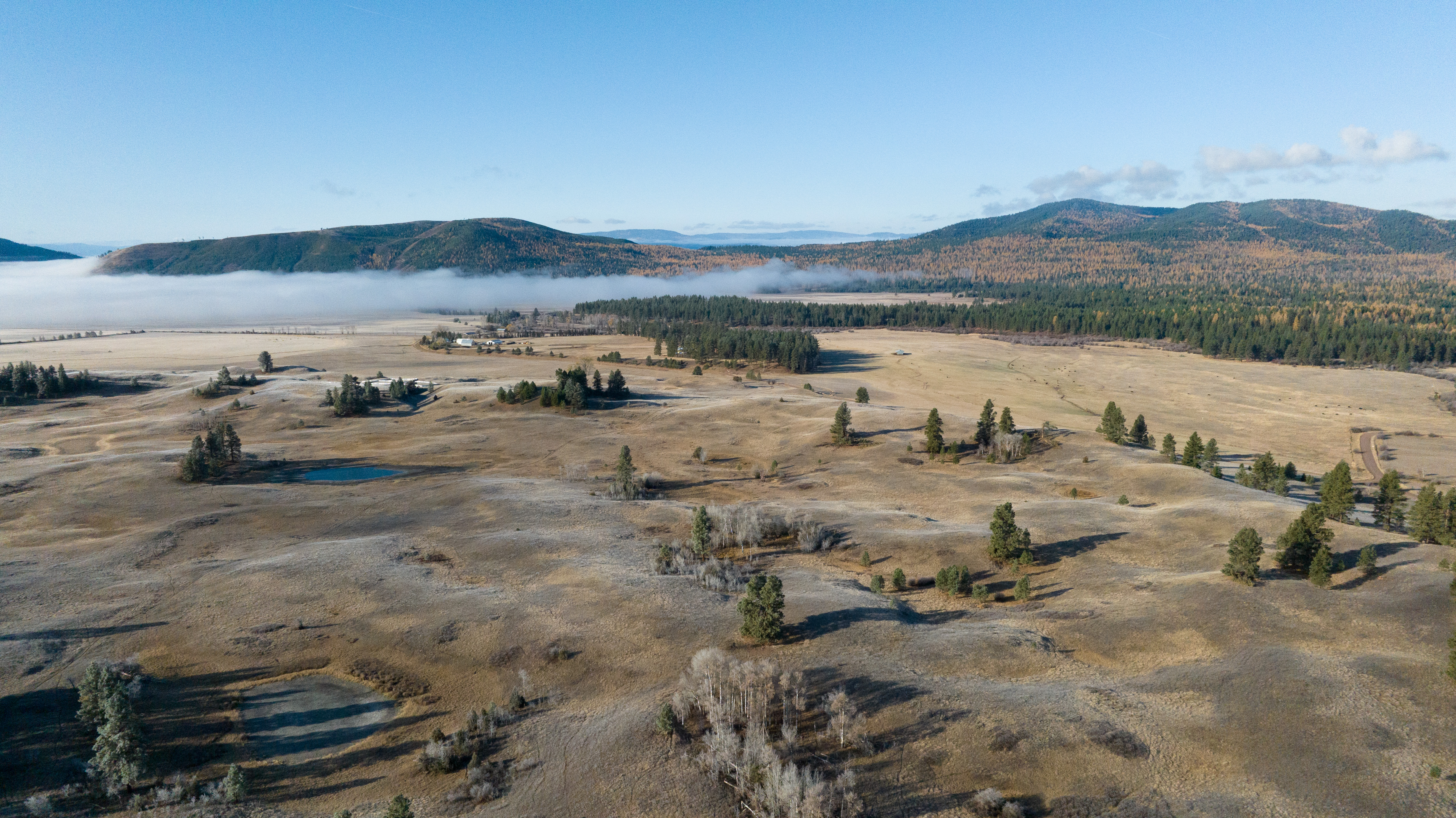 bandy ranch drone photo