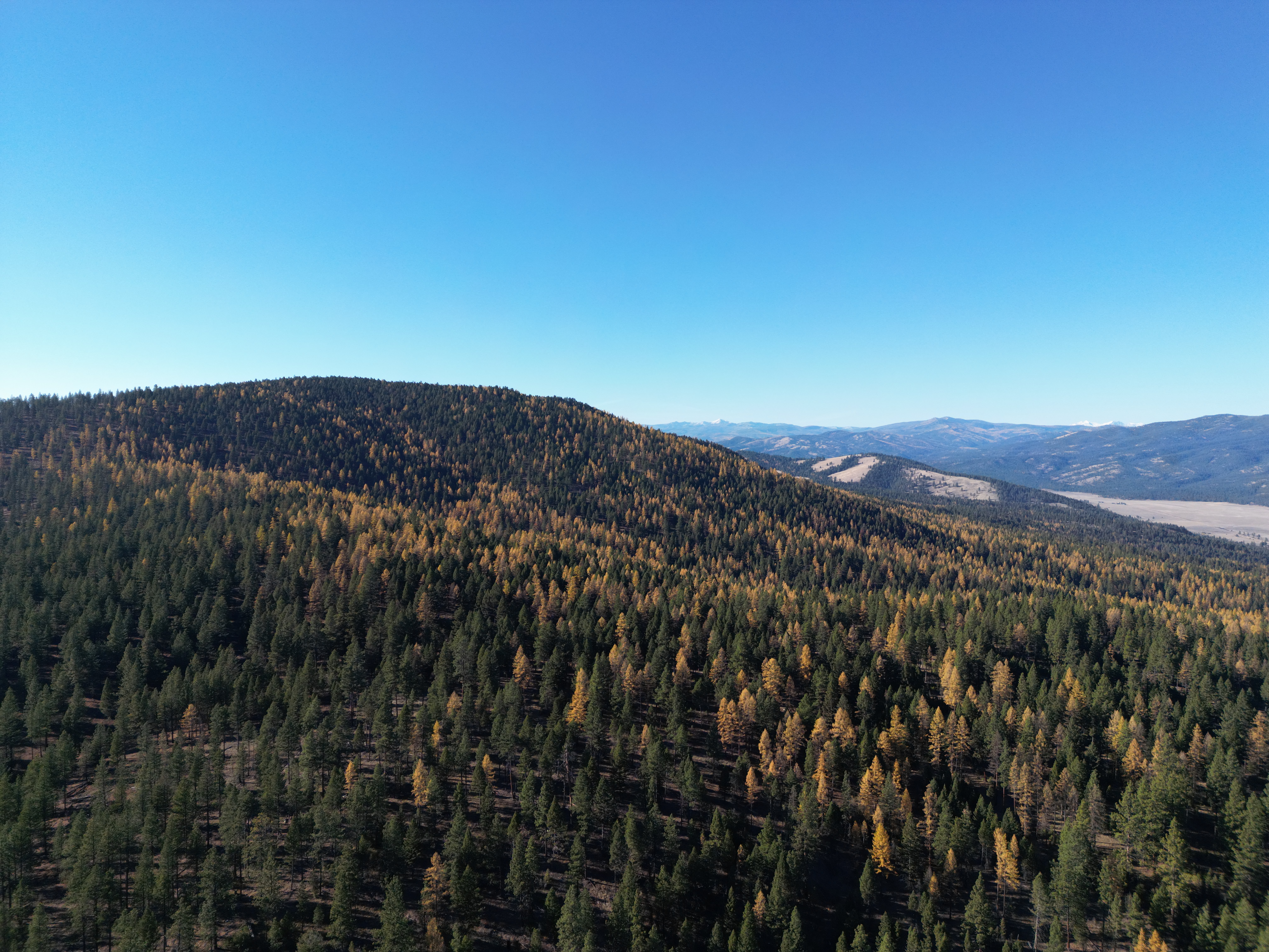Drone photo of Lubrecht Forest