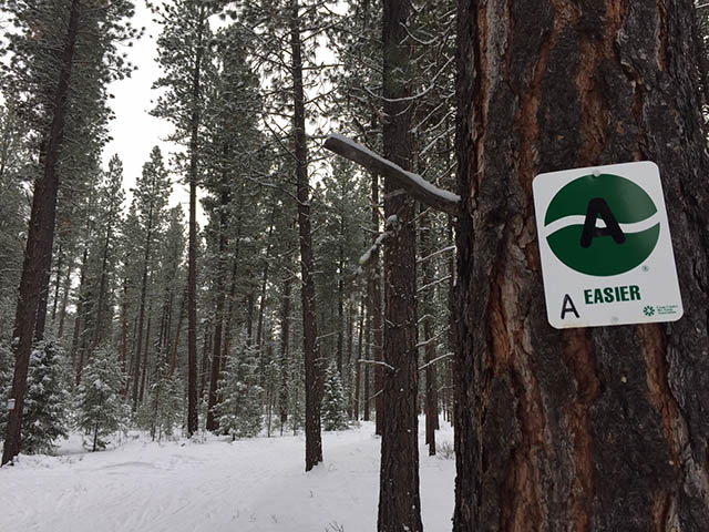 ski trail sign