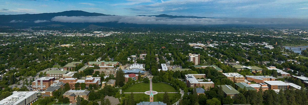Looking over the UM campus to the west