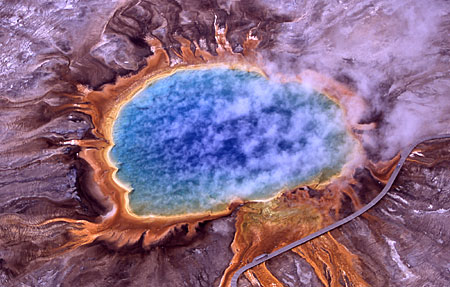 Miller’s team studies hot pool life in places such as the Grand Prismatic Hot Spring in Yellowstone National Park, whose rainbow colors are caused by different genetic variants of Synechococcus. (Photo by Jim Peaco, National Park Service)