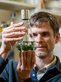 UM microbiologist Scott Miller investigates the evolutionary mechanisms used by cyanobacterium to adapt to extreme environments.