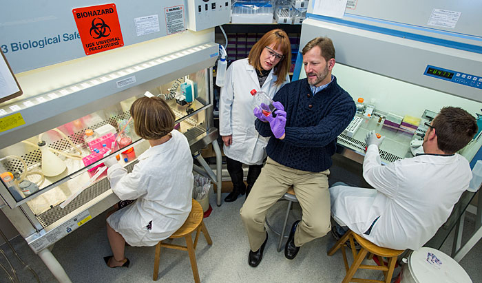 Professor David Shepherd and researcher Fanny Diaz examine a cell culture in a UM biomedical lab. Team members working under biohoods are Celine Beamer (left) and Ben Seaver.