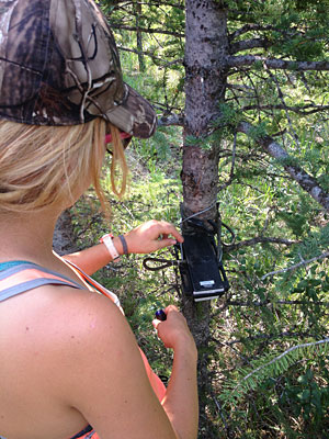 Brandell retrieves data from a camera located in remote corners of Banff National Park.