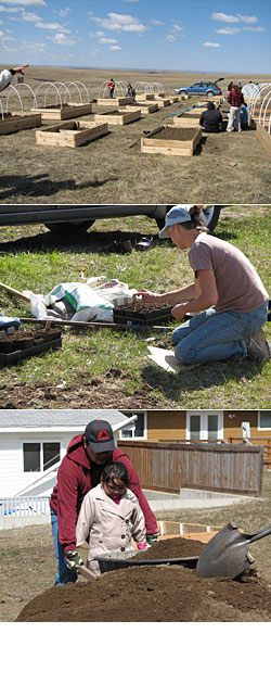 Some scenes from community garden projects led by Brown, who is pictured in the middle.