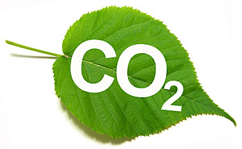 A image of a leaf with CO2 printed on it