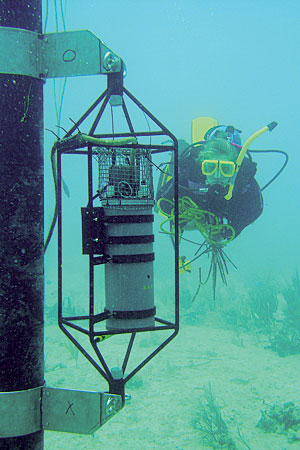 A diver works on a SAMI deployed near a coral reef in the Bahamas. (Photo by Jim Hendee)