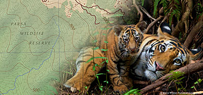 An image of two tigers mixed with a map of the wildlife preserve