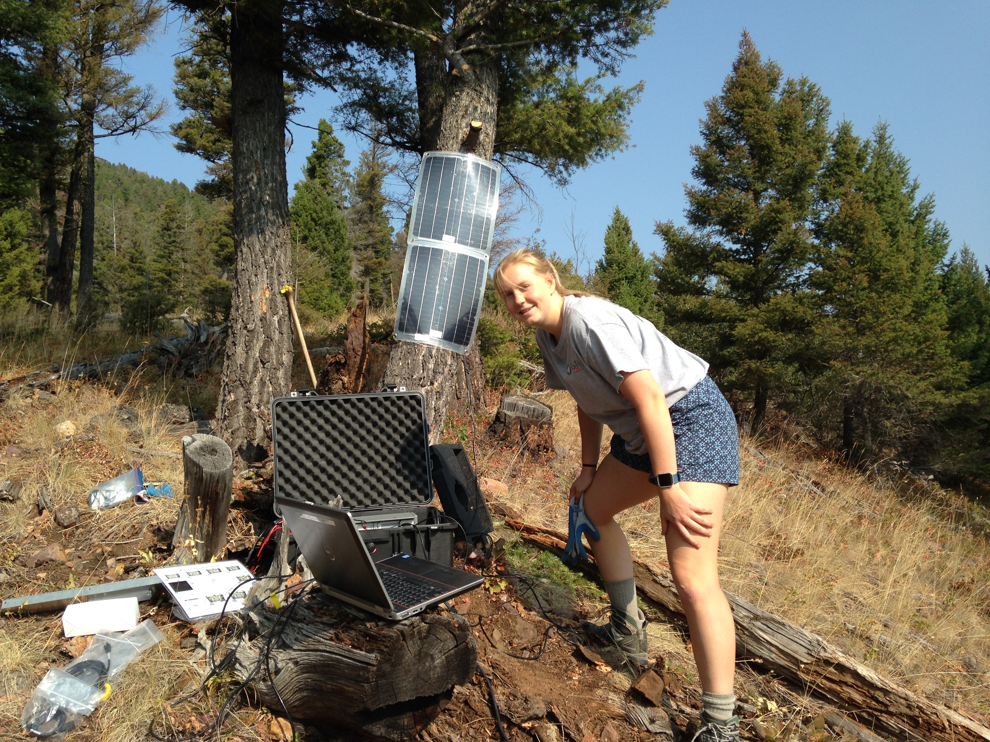 UM Seismic Network - Station NVMT