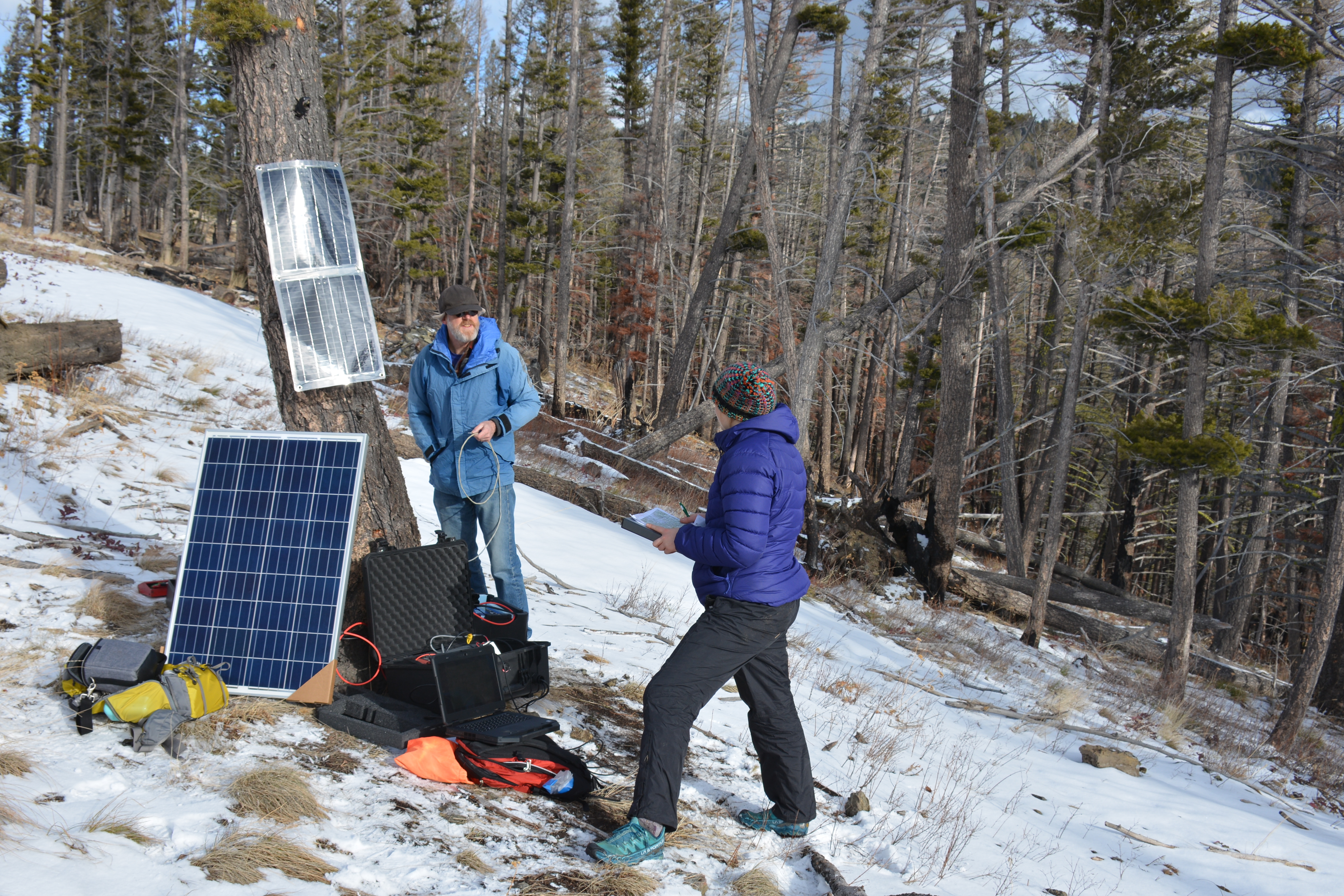 UM Seismic Network - Station LGMT