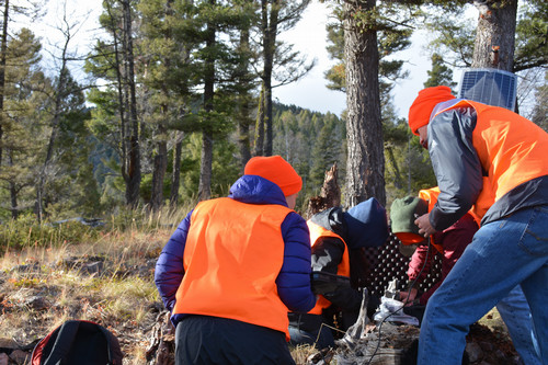 UM Seismic Network - Station NVMT