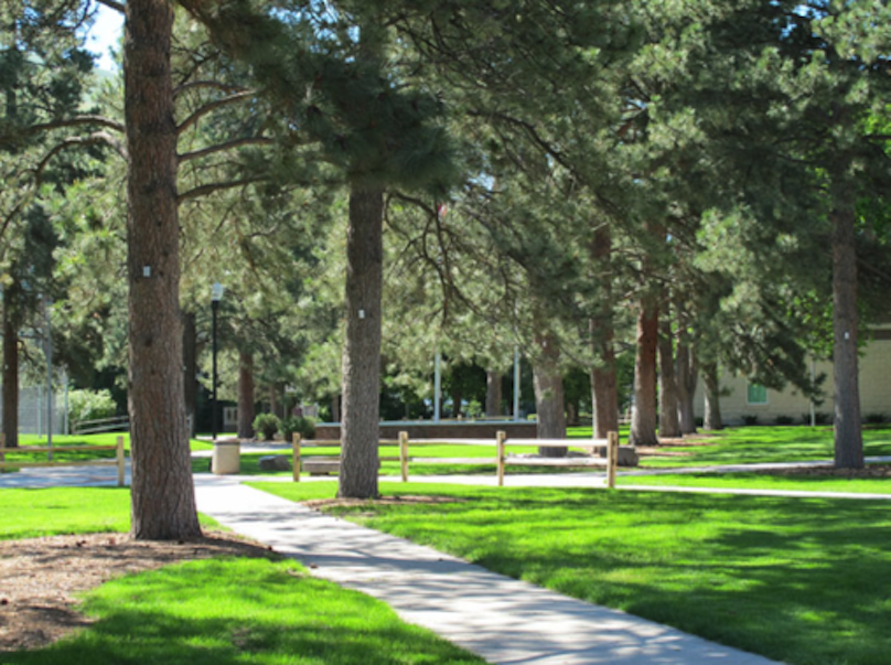 Looking south along Memorial Row.