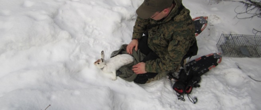 Photo of James releasing a hare into the wilderness