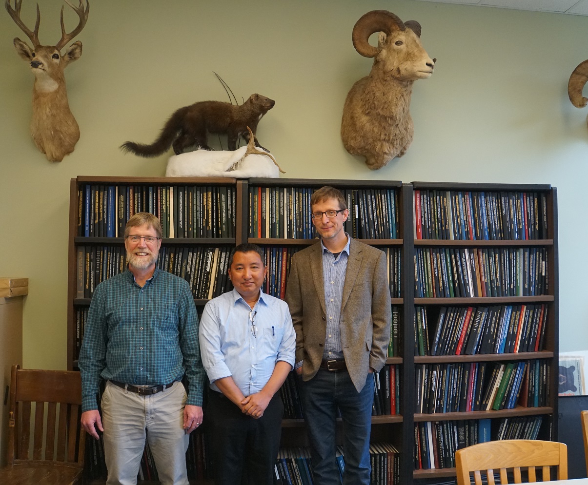 Feature Photo: Dr. Tshering Tempa with his co-advisors Dr. L. Scott Mills and Dr. Mark Hebblewhite. Credit - Tshewang Wangchuk.