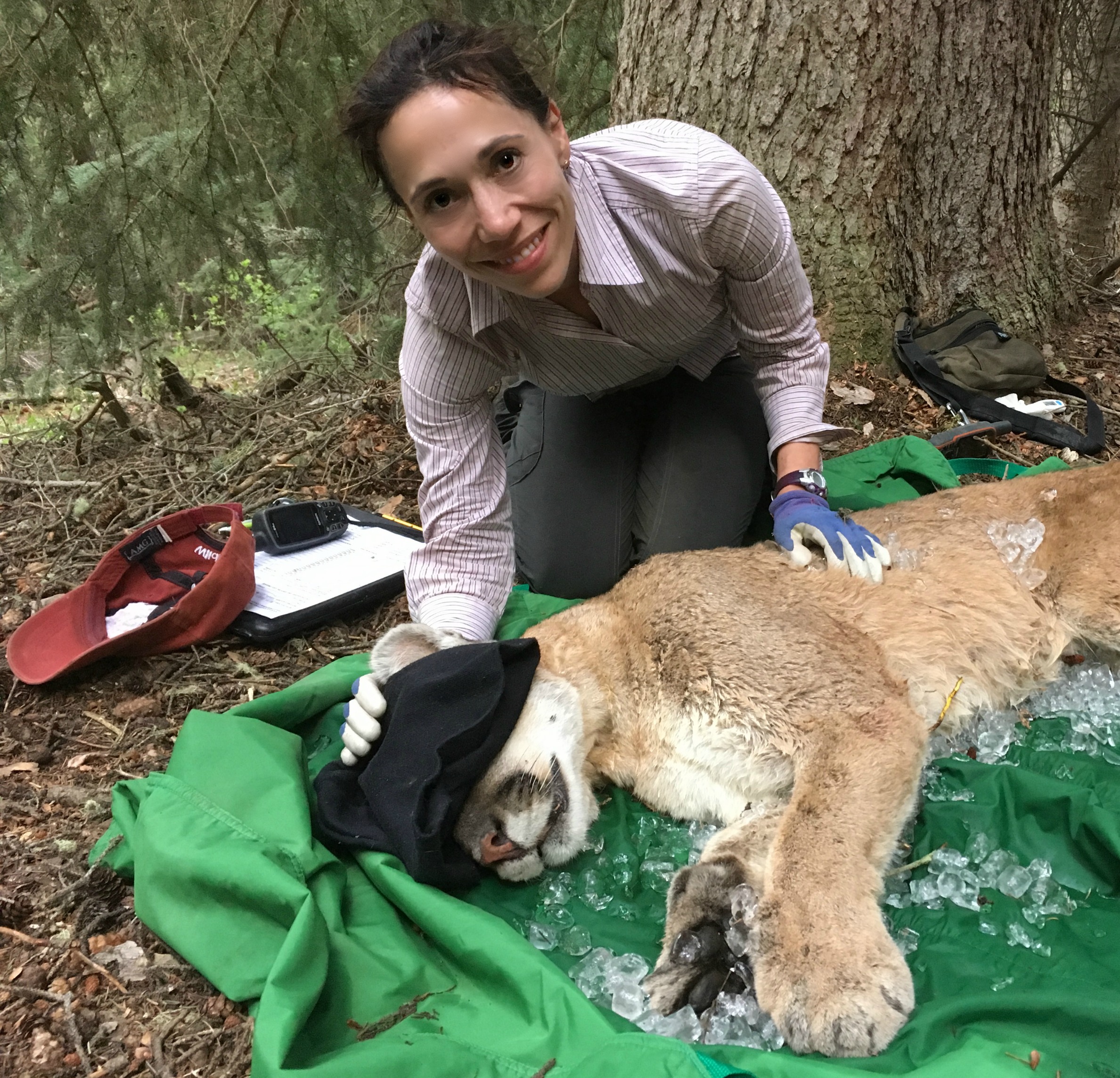 Photo of person with an animal