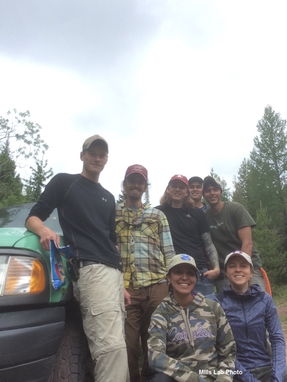 Market with the summer hare crew