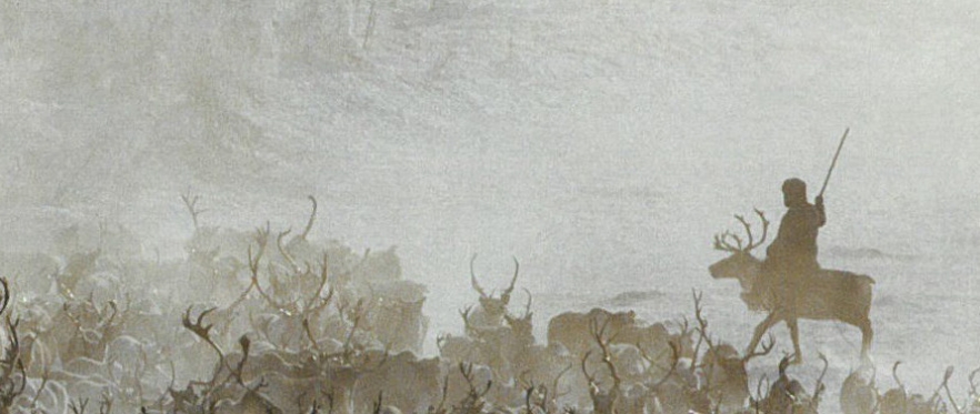 Nat Geo Banner Photo