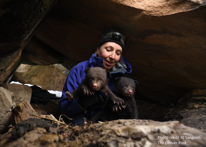 Photo of Dr. Johnson with bear