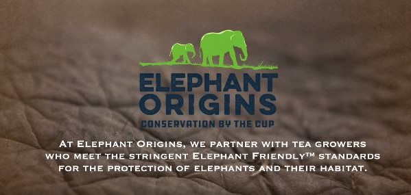 Elephant Orgins graphic