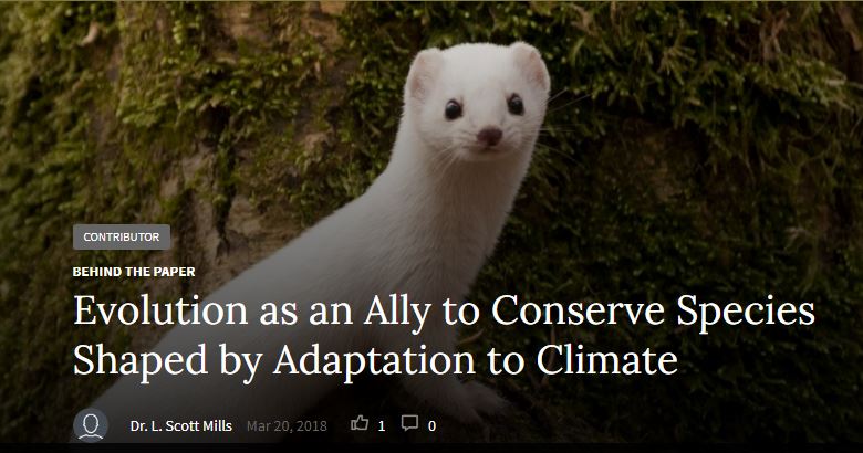 Photo of Scott's latest blog post graphic