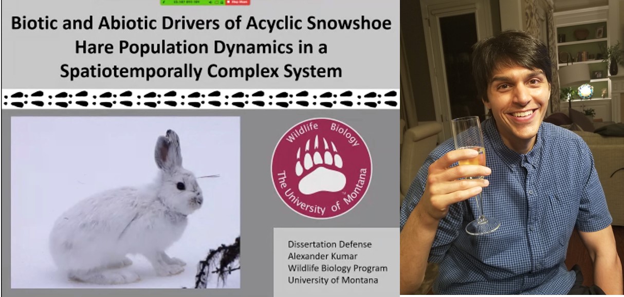 Graphic of Alex's introuction slide