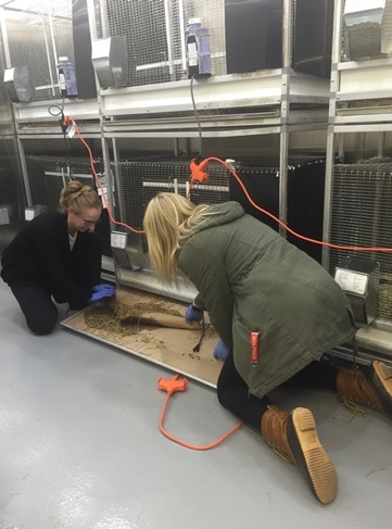 Photo of Diana L working in the Mills Lab