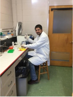 Faraz extracting DNA